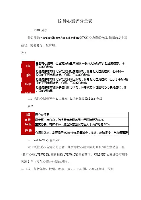 12种心衰评分量表