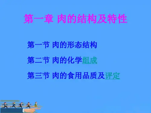 肉的结构及特性优选PPT