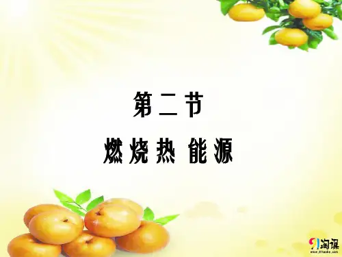 课件12：1.2 燃烧热 能源