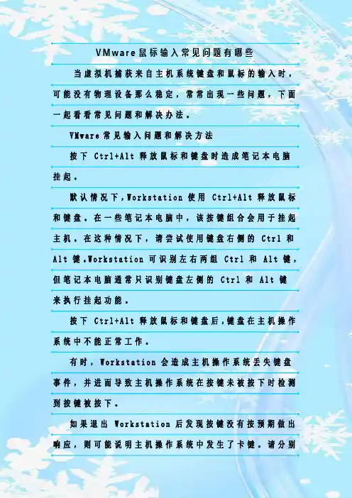 最新整理VMware鼠标输入常见问题有哪些