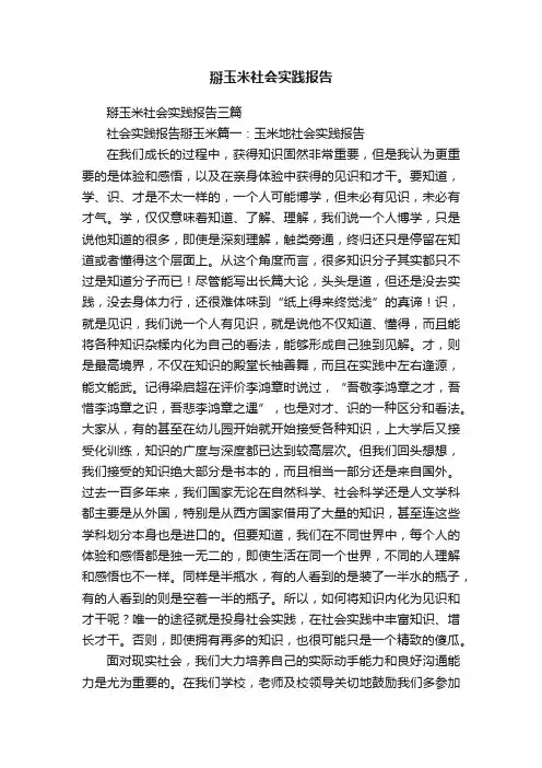 掰玉米社会实践报告