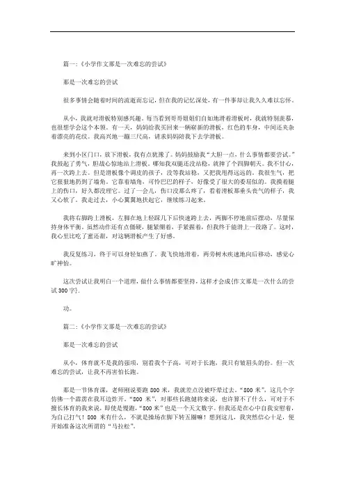作文那是一次什么的尝试300字范文