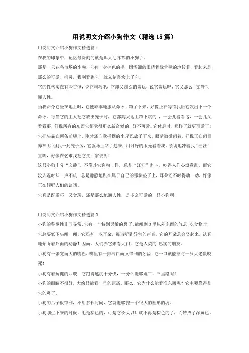 用说明文介绍小狗作文(精选15篇)