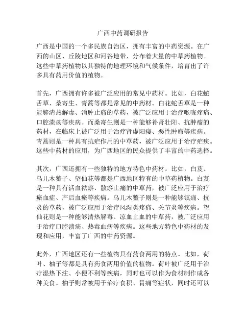 广西中药调研报告