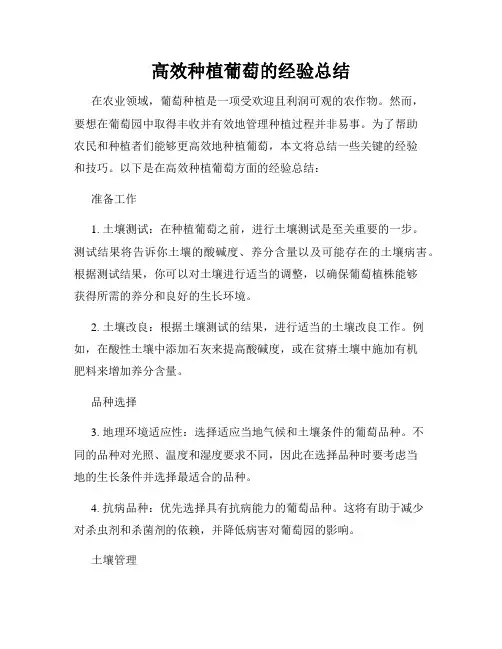 高效种植葡萄的经验总结