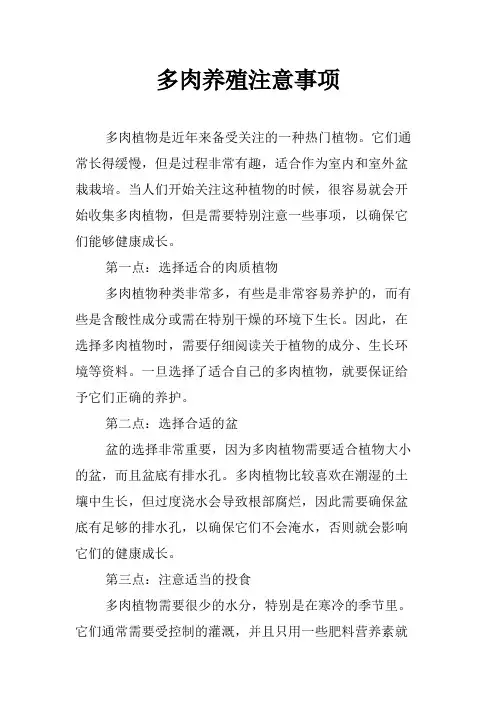多肉养殖注意事项