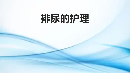 排尿护理PPT