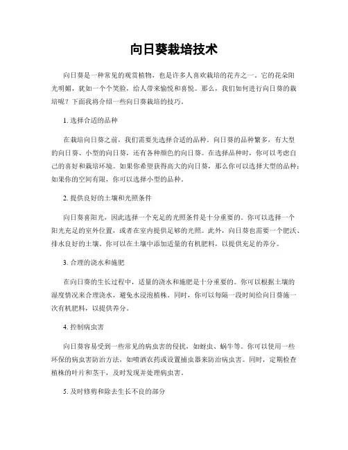 向日葵栽培技术