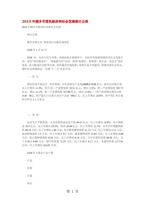 2019年桐乡市国民经济和社会发展统计公报13页