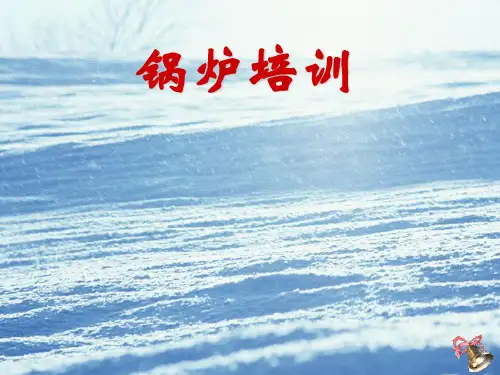 燃煤锅炉培训