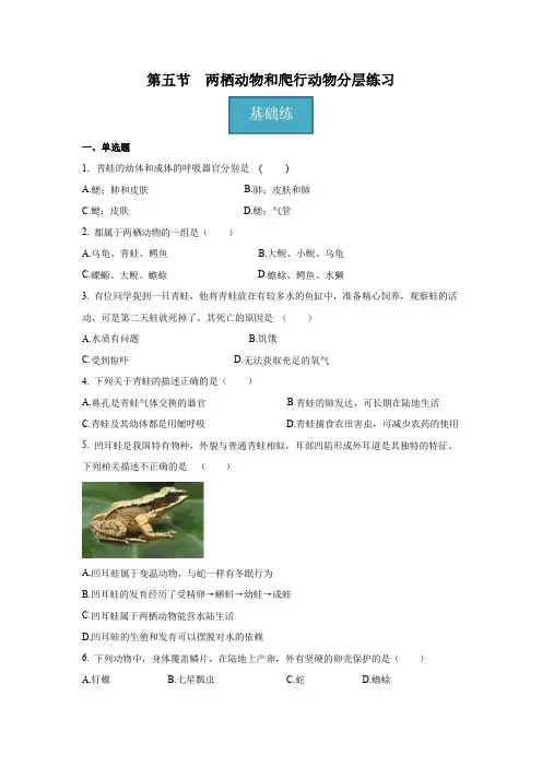 5-15 两栖动物和爬行动物(分层练习)-八年级生物上册同步课堂(人教版)(原卷版)