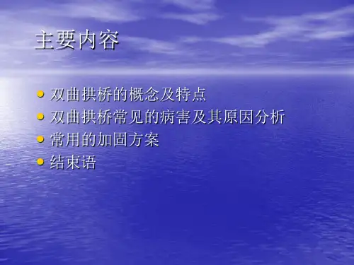 双曲拱桥的加固方案