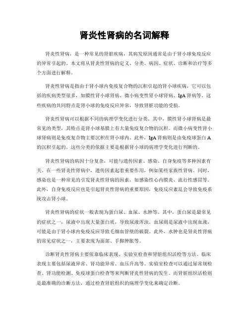 肾炎性肾病的名词解释