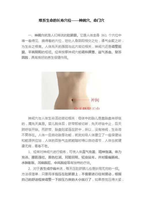 维系生命的长寿穴位——神阙穴、命门穴
