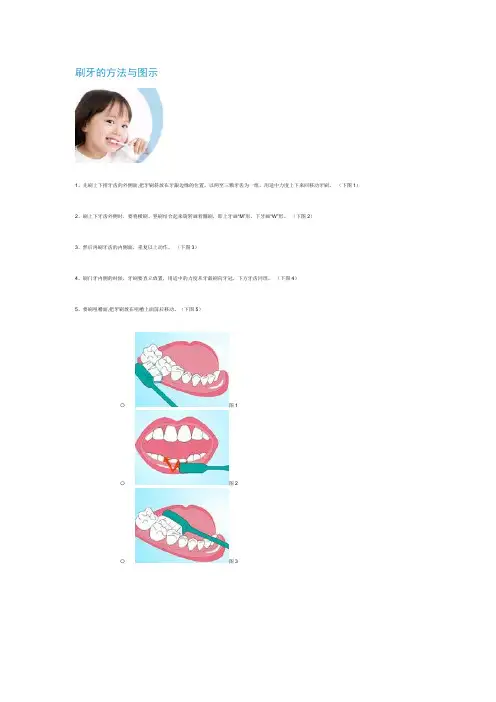 刷牙的方法与图示