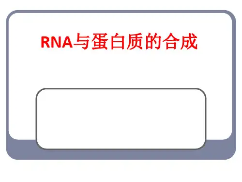 [课件]RNA与蛋白质的合成PPT