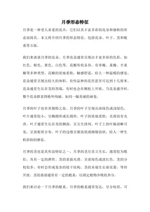 月季形态特征