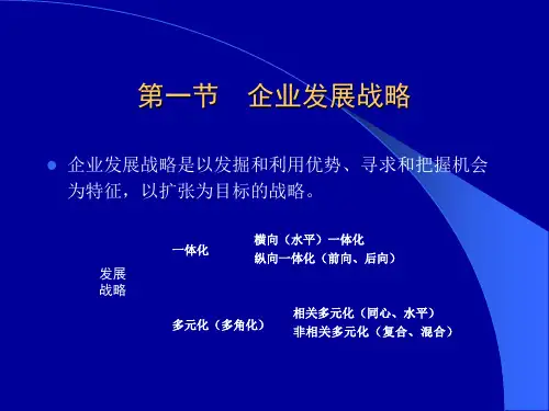 企业发展战略与竞争战略