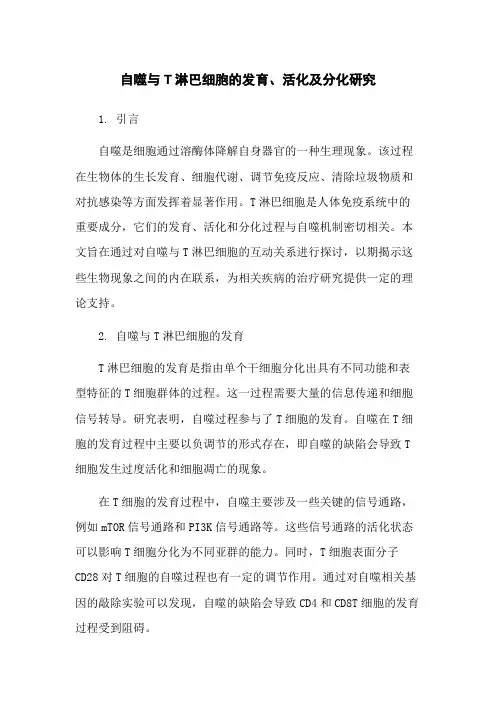 自噬与T淋巴细胞的发育、活化及分化研究