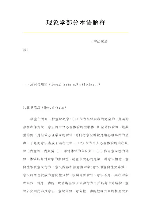 现象学部分术语解释