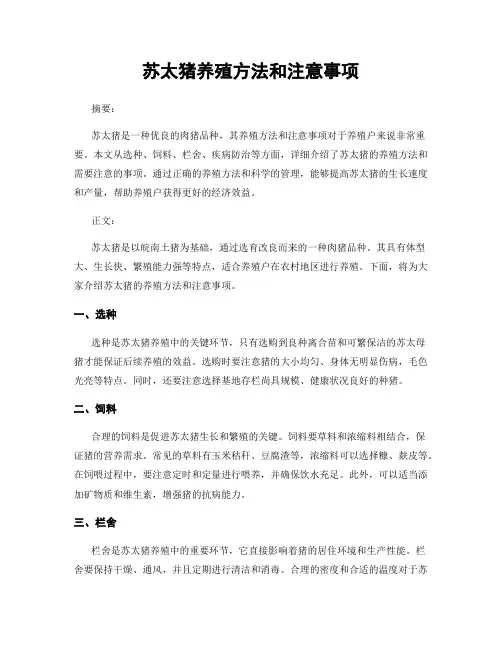 苏太猪养殖方法和注意事项