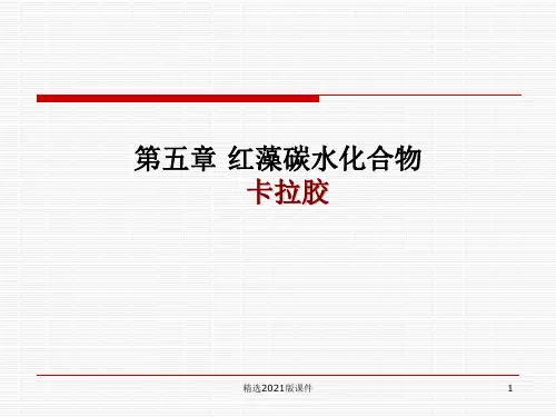 第五章 卡拉胶