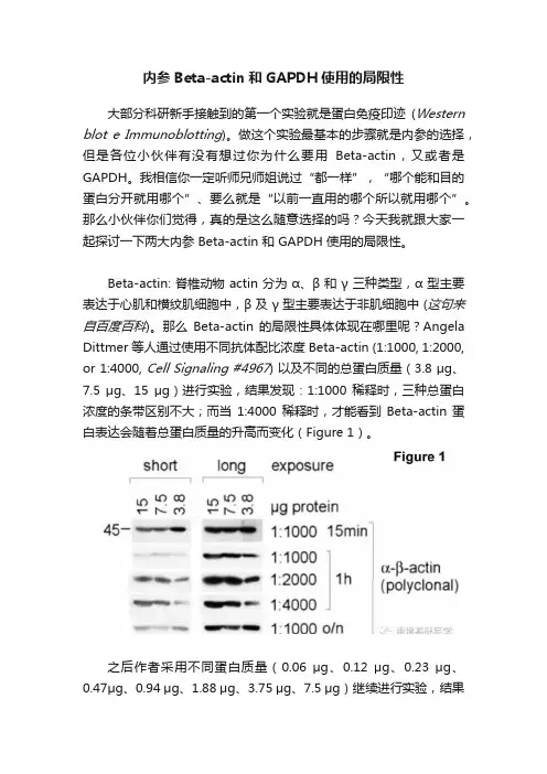 内参Beta-actin和GAPDH使用的局限性