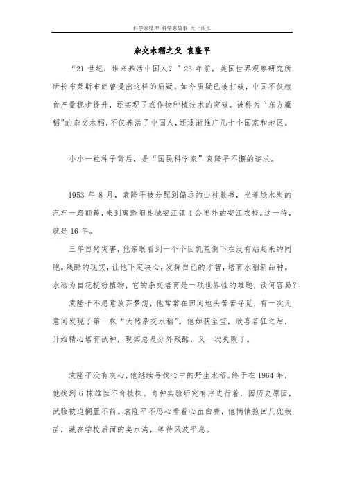 科学家精神 杂交水稻之父 袁隆平
