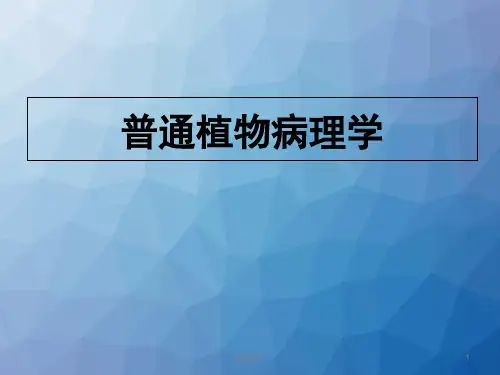 普通植物病理学(全套课件147P)  ppt课件