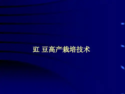 豇豆高产栽培技术