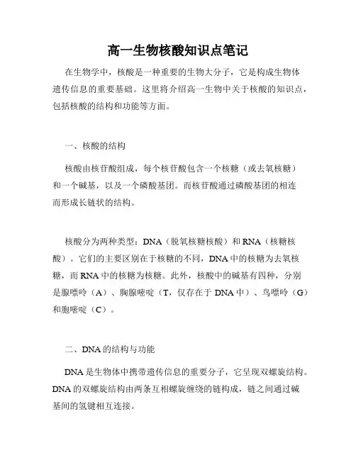 高一生物核酸知识点笔记