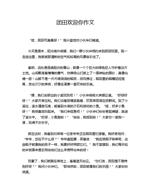 团田欢迎你作文