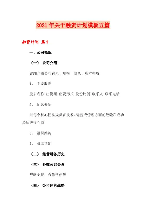 2021年关于融资计划模板五篇