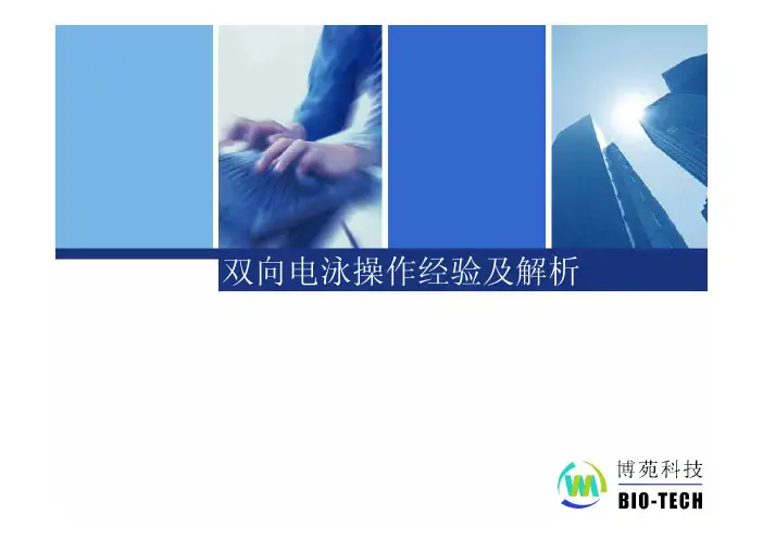 蛋白质双向凝胶电泳操作经验及解析