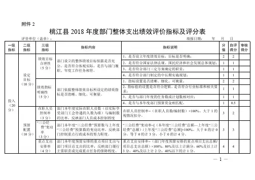 桃江2018部门整体支出绩效评价指标及评分表.pdf