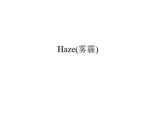 英文：雾霾(Haze)的相关定义、危害、成因、现状及个人和政府应该采取的措施