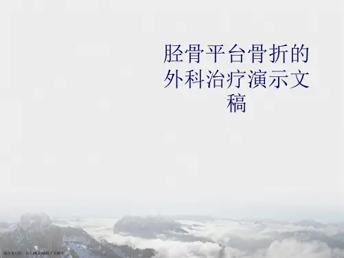 胫骨平台骨折的外科治疗演示文稿