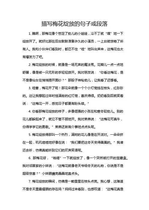 描写梅花绽放的句子或段落
