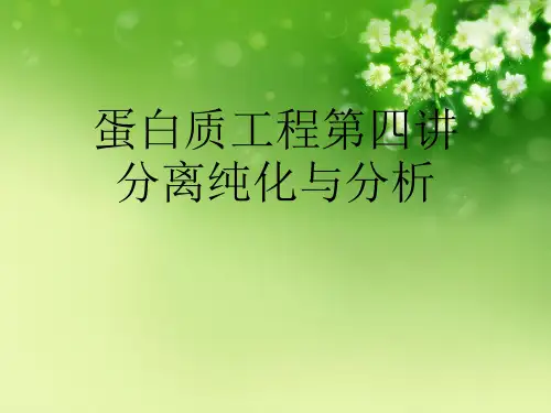 蛋白质工程第四讲分离纯化与分析优秀课件