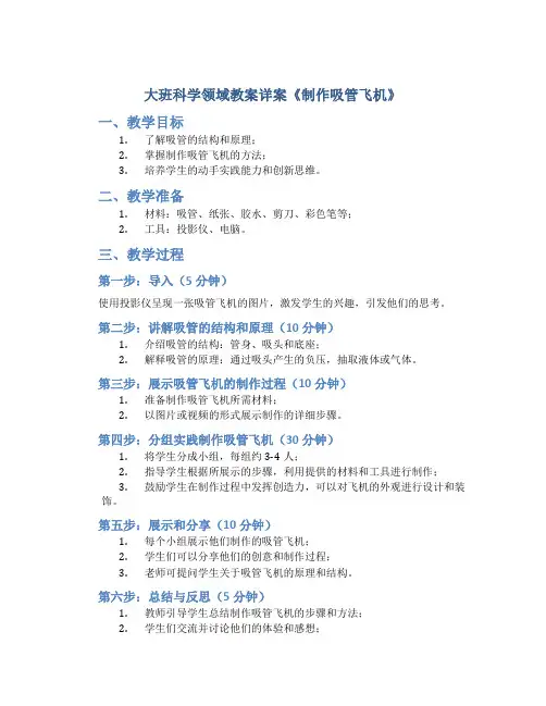大班科学领域教案详案《制作吸管飞机》