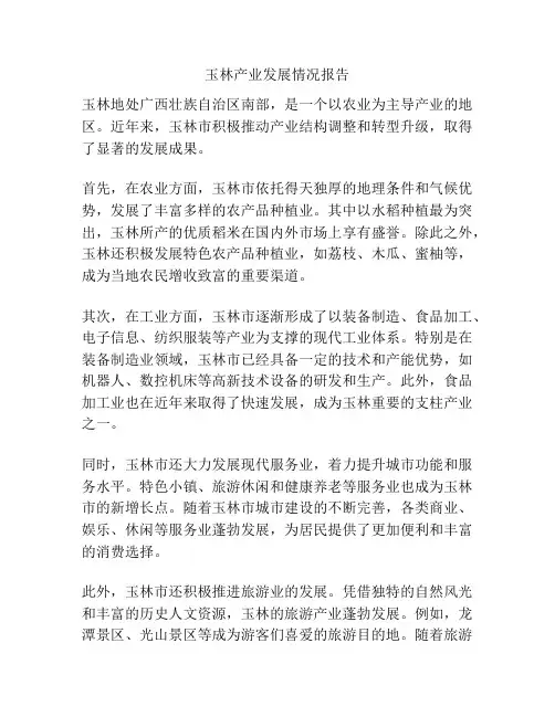 玉林产业发展情况报告