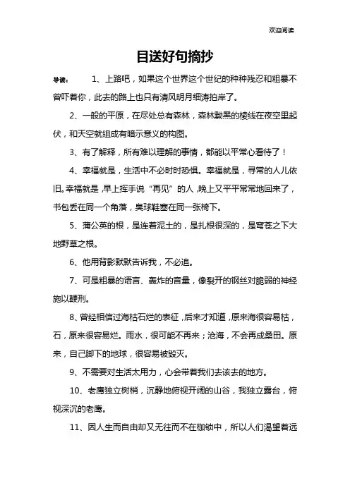 目送好句摘抄