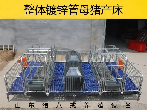 母猪产床介绍_畜牧兽医_农林牧渔_专业资料完整版文档