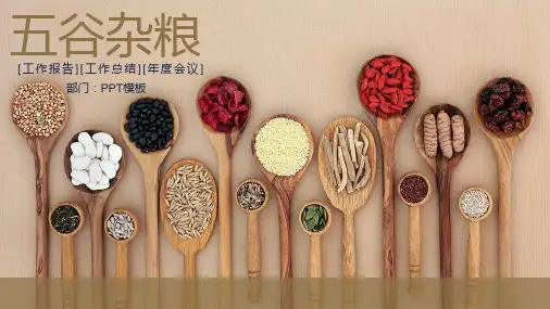 五谷杂粮PPT模板