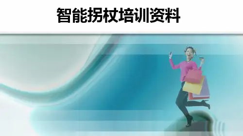 智能拐杖培训资料ppt课件