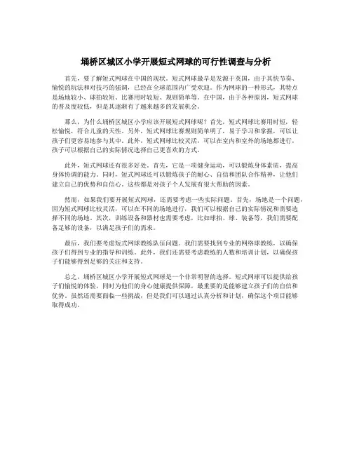 埇桥区城区小学开展短式网球的可行性调查与分析