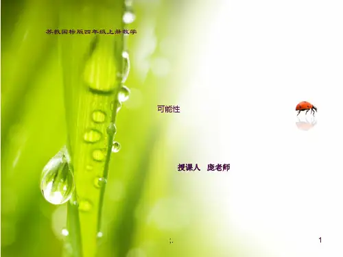 苏教版四年级上册《可能性》ppt课件