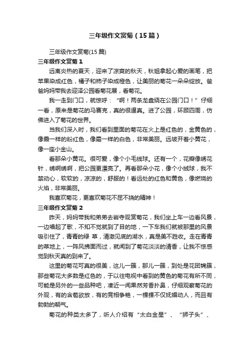 三年级作文赏菊（15篇）