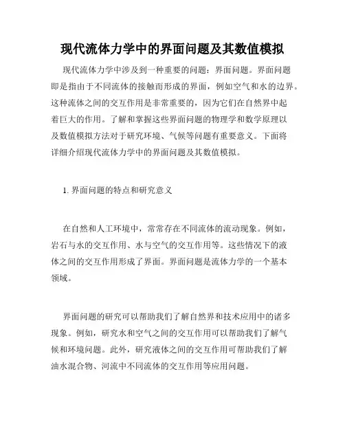 现代流体力学中的界面问题及其数值模拟