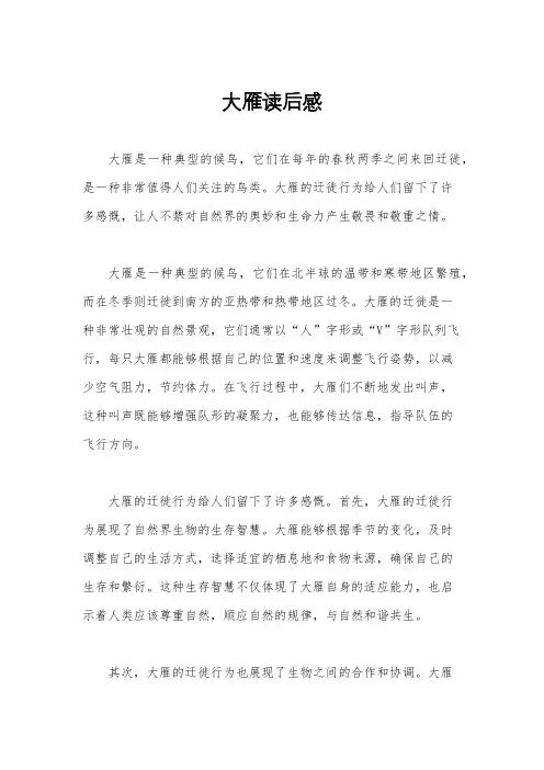 大雁读后感